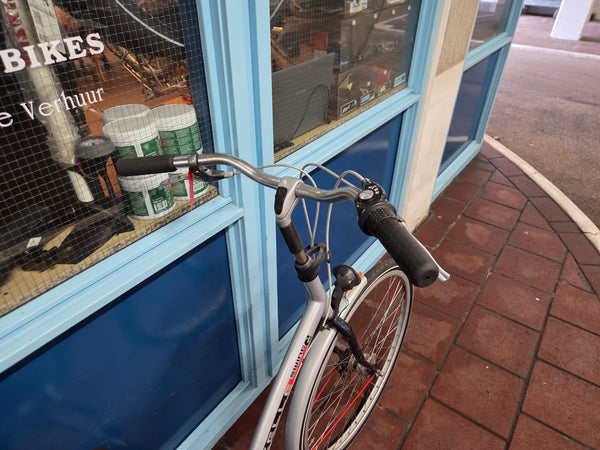 Gazelle Swing Damesfiets – 28 inch – 53 cm – 3 versnellingen