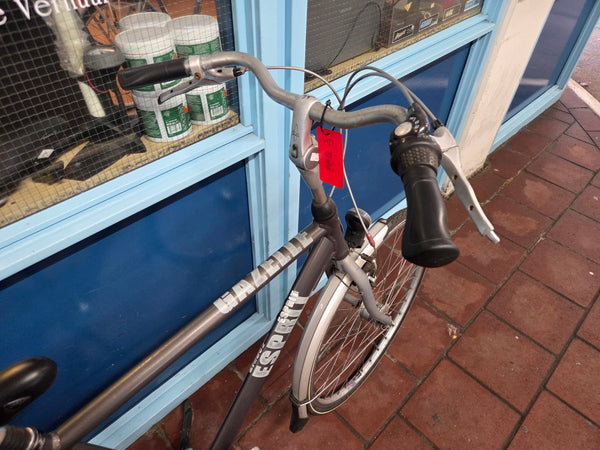 Gazelle Esprit Herenfiets – 28 inch – 55 cm – 3 versnellingen