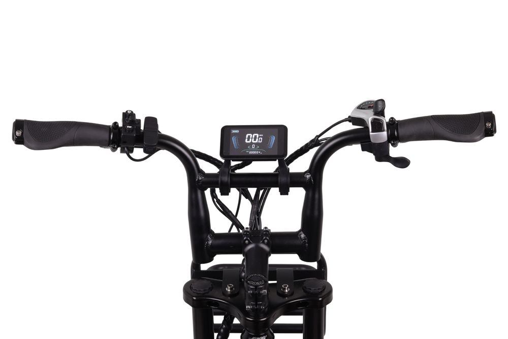 Altec Arion E-Bike Fatbike 20 inch 624 Wh - 278462 - foto 1