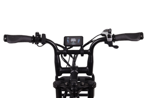 Altec Arion E-Bike Fatbike 20 inch 624 Wh - 278462 - foto 2