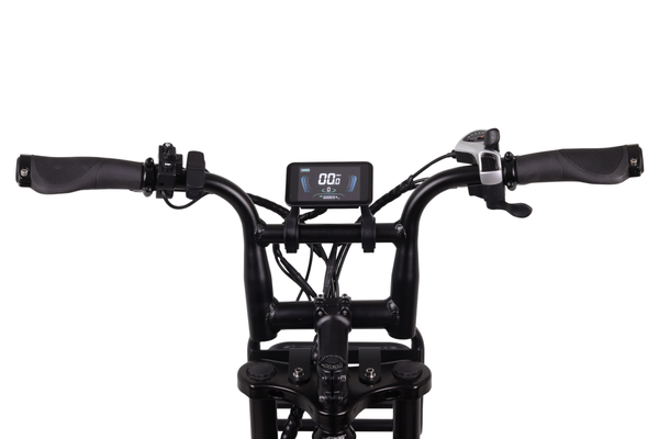 Altec Arion E-Bike Fatbike 20 inch 624 Wh - 278462 - foto 2