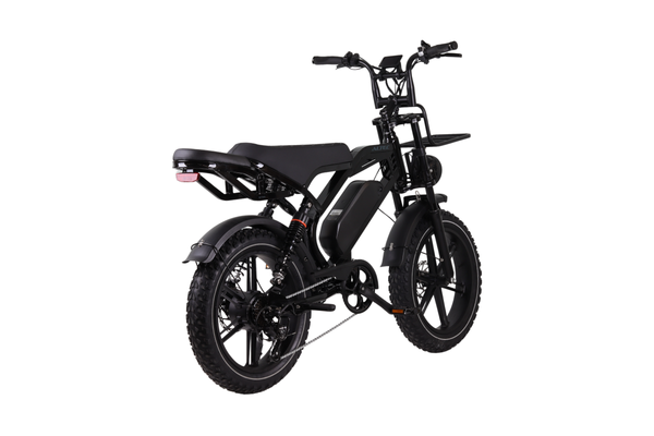 Altec Arion E-Bike Fatbike 20 inch 624 Wh - 278462 - foto 5