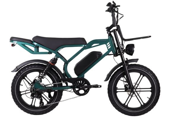 Altec Arion E-Bike Fatbike 20 inch 624 Wh - 278463 - foto 1