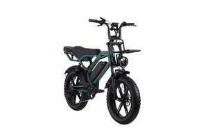 Altec Arion E-Bike Fatbike 20 inch 624 Wh - 278463 - foto 2