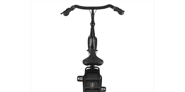 Altec Liberty E-bike 28 inch 50 cm 518 Wh Moederfiets Shiny Black - foto 4