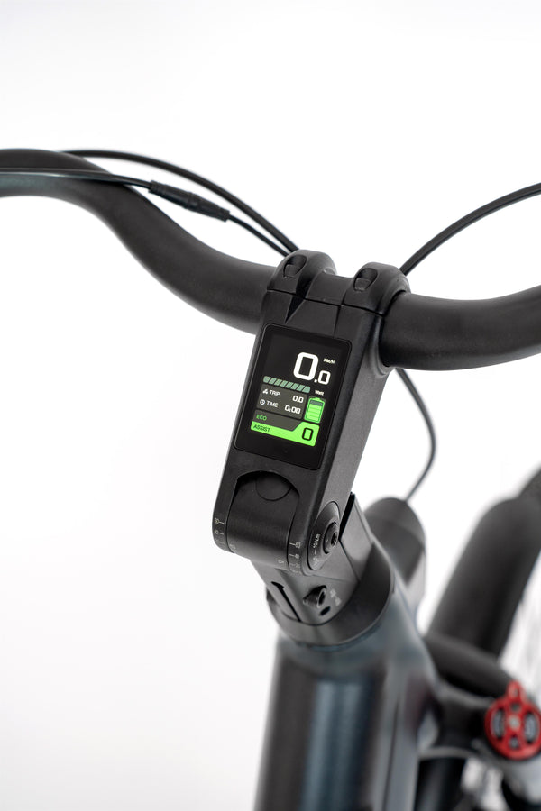 Altec Flow E-Bike 28 inch 375 Wh Ash - 279283 - foto 2