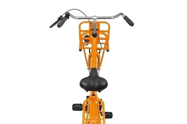 Holland 28 inch Transportfiets 53 cm Burned Orange - foto 4