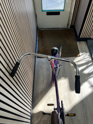 Batavus Old Dutch Damesfiets 28 Inch – 56 cm