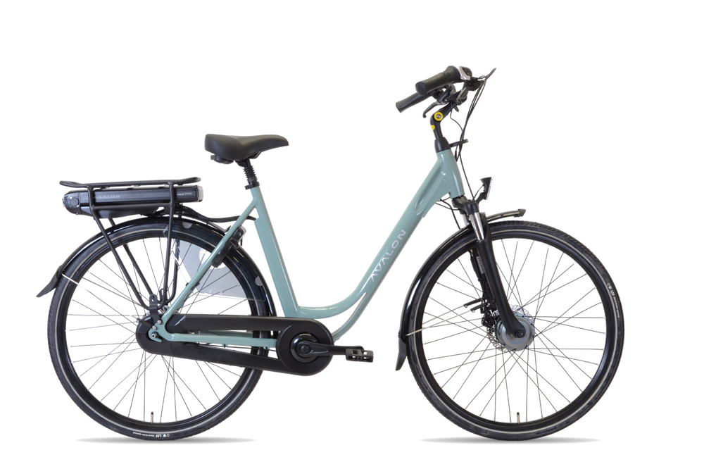 Avalon E-City 