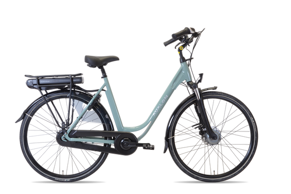 Avalon E-City 