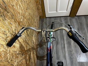 Second-hand men's bicycle Gazelle Chamonix 28 inch 64 cm