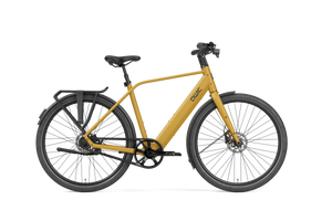 Signal heren Oker Yellow