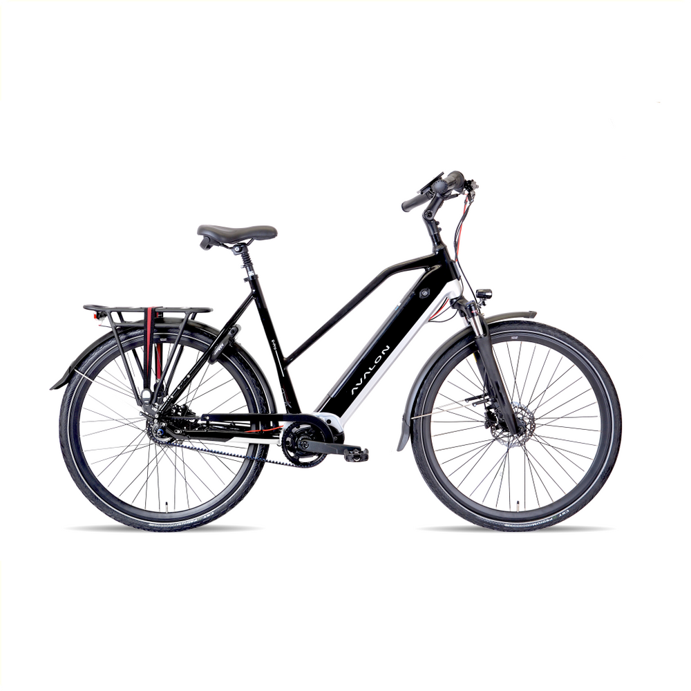 Avalon E-Pro Sport zwart zilver