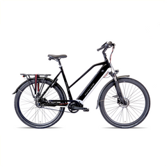Avalon E-Pro Sport zwart zilver