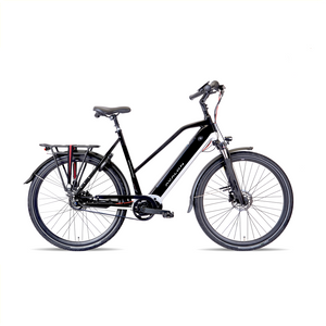 Avalon E-Pro Sport zwart zilver