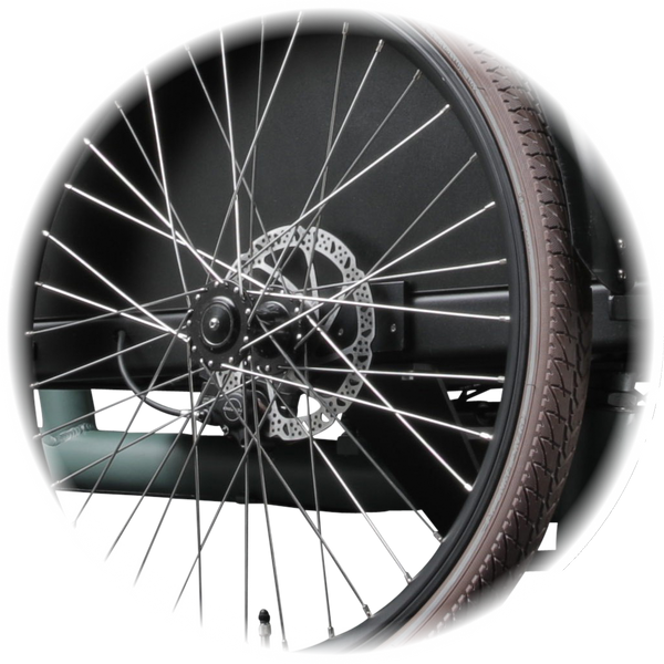 eCargo 3.3 Economy Performance Blue 2026 Model 